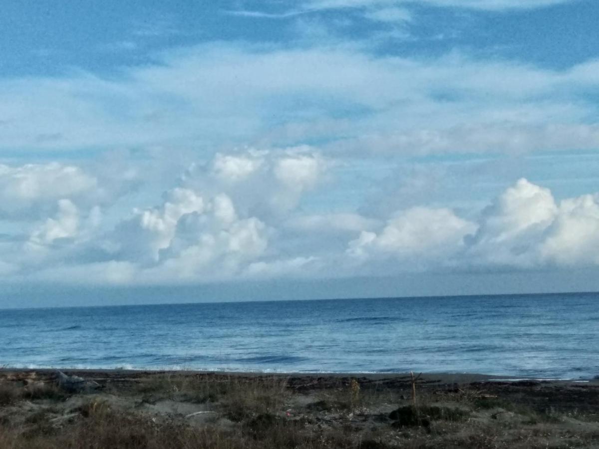 Un Nid Douillet en bord de plage !! Lucciana  Buitenkant foto