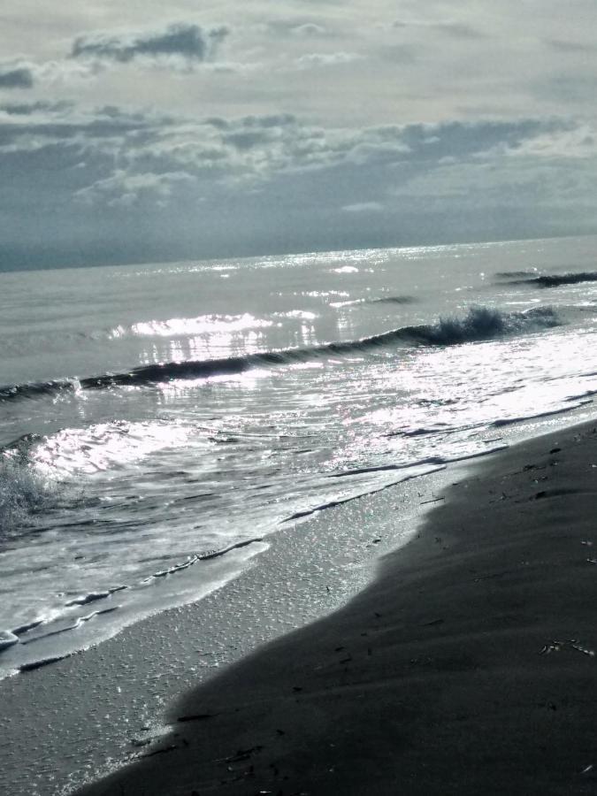 Un Nid Douillet en bord de plage !! Lucciana  Buitenkant foto